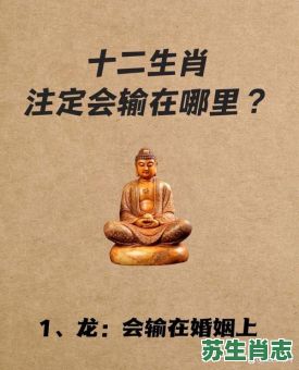 若有不策半路死是什么生肖？若有不策半路死最佳答案