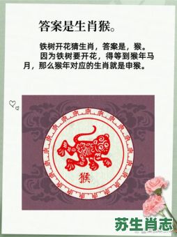 二八丁配五不满是什么生肖？二八丁配最佳答案一肖