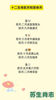 九天橄月是什么生肖？2003年九月属什么生肖