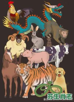 倒骑毛驴看墨镜是什么生肖？倒骑毛驴猜生肖数字