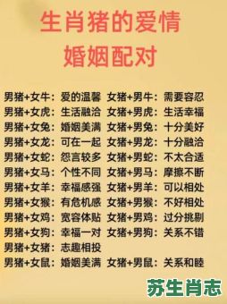 2oo7年是什么生肖？2007年属猪男孩一生运势