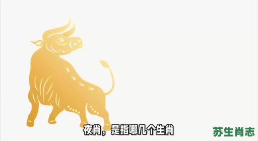 夜不能寐的动物是什么生肖?夜不能寐一生肖 夜不能寐的动物是什么生肖?夜不能寐一生肖