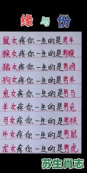 零泪缘缨流是什么生肖？千感泪打一生肖