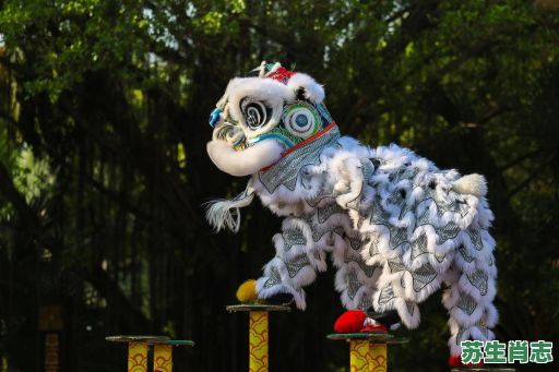 醒狮长啸龙腾步是什么生肖？龙腾虎跃最正确生肖