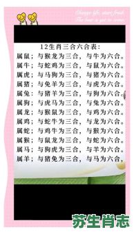 合并围困歼贼盗是什么生肖？合围歼贼盗最准确生肖