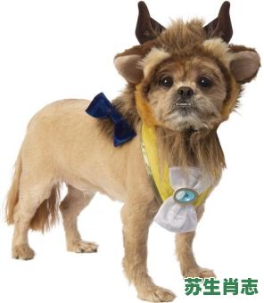 美女与野兽的故事是什么生肖？美丽女孑是什么生肖