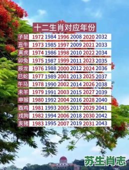 公元前45年是什么生肖？什么叫做公元前