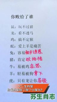 必中梁山伯是什么生肖？十二生肖谁是梁山伯