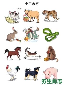 高高在上的动物是什么生肖？高高在上的三大生肖