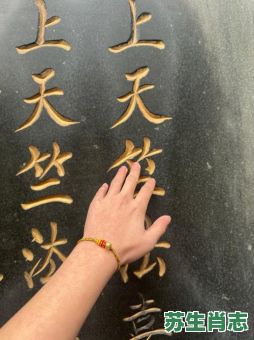 双手合十莫看错是什么生肖？双手合十打一准确生肖