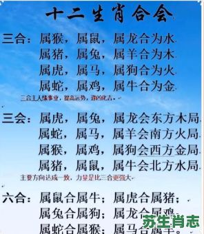 千年修练是什么生肖？千年修炼打一准确动物