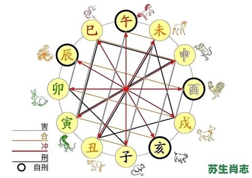 子水克无生是什么生肖？克无生打一准确生肖