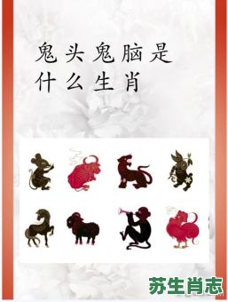 五尺女人想当强是什么生肖？五尺女人暗示什么数字