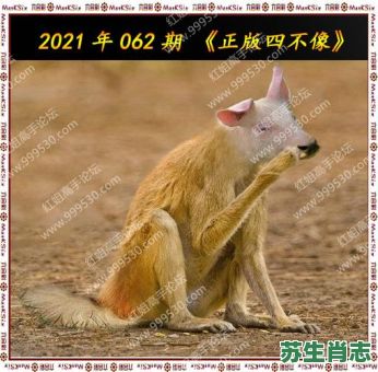 谁家四代偷是什么生肖？偷四大是指哪四肖