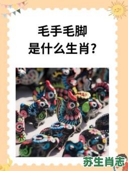 全身光滑毛很柔是什么生肖？全身光滑最正确答案