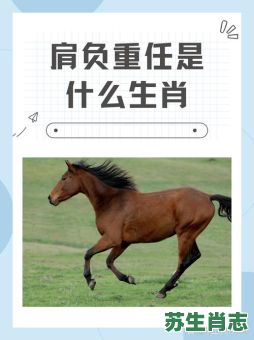 狗羊相斗谁胜败是什么生肖？狗羊马打一生肖