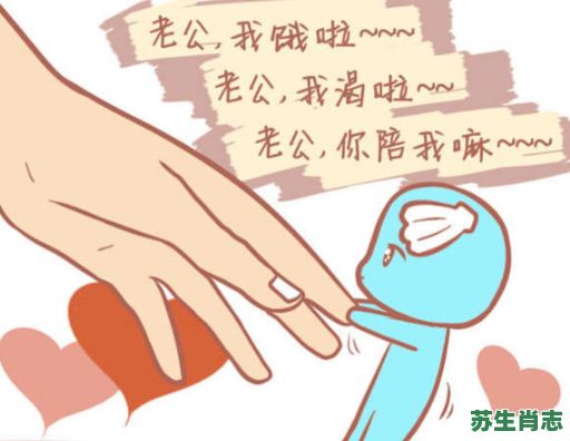 情人眼里出西施是什么生肖？出西施打一正确生肖