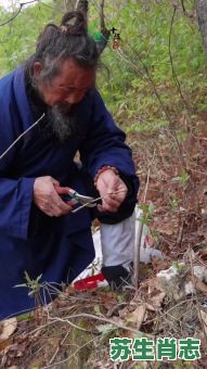 欲钱买武当的道士是什么生肖？欲钱买武当的道士打一数字