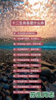 十二生肖寿命最长的动物是什么？命最好的生肖女第一名