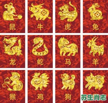 一二组合有财气是什么生肖？十二生肖最旺数字