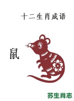 老马识途有经验是什么生肖？天涯代表什么生肖