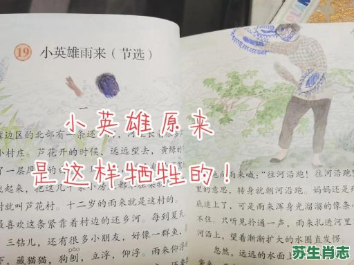 雨来成碎锦是什么是生肖？雨来成碎锦,风起现花纹