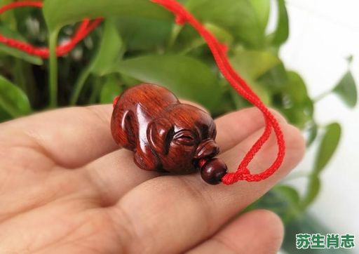 欲钱去找刚出世婴儿是什么生肖？早晚出门添衣裳打准确生肖