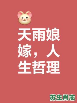 天要下雨娘要嫁人是什么生肖？天要下雨娘嫁人正确生肖