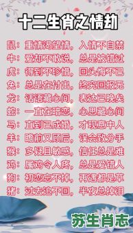 二十四集大结局是什么生肖？二十四集大结局准确生肖