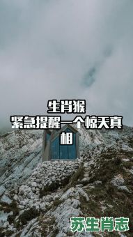 一惊一乍很警觉是什么生肖？一惊一乍打一最佳生肖