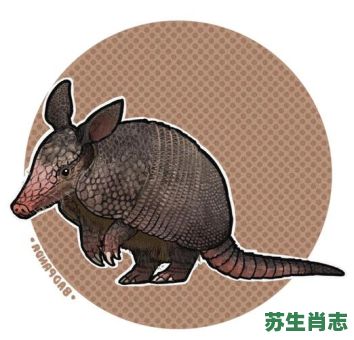 犰狳是什么动物打一生肖？豻打一生肖的正确答案