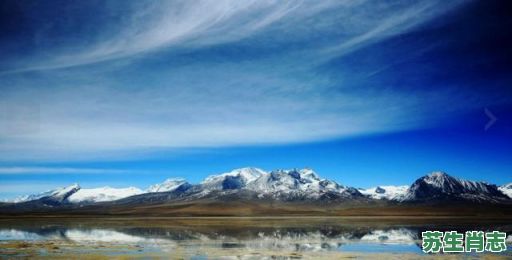 执迷不悟看六盒是什么生肖？执迷不悟看六盒最佳一肖