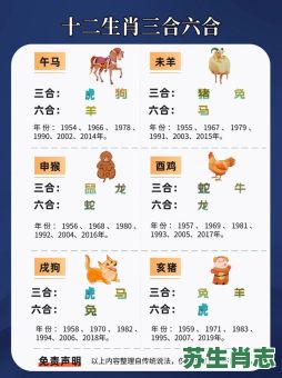 一点三刻才回家是什么生肖？一十一三隐玄机准确生肖