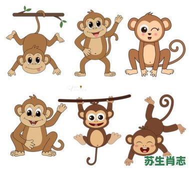 欲钱买蹦蹦跳跳的动物是什么生肖？上蹿下跳代表什么生肖