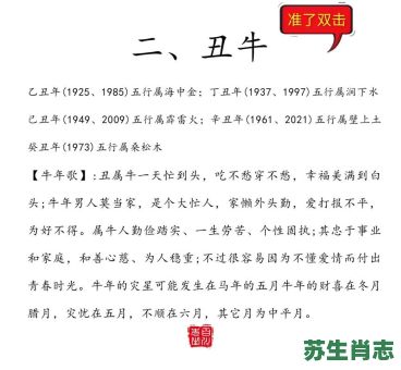 木生肖是什么生肖？木肖是哪几肖正确答案