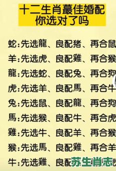 山中生肖是什么生肖？十二生肖谁是山中肖