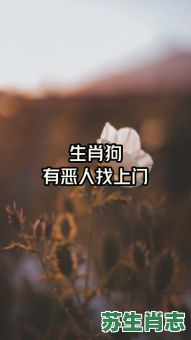 恶面生肖是什么生肖？恶人肖是哪些动物