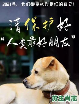 流浪的生肖是什么生肖？流浪代表什么动物