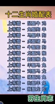 英俊的生肖是什么生肖？英俊代表什么生肖