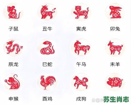 土的生肖是什么生肖？土肖是指哪几肖