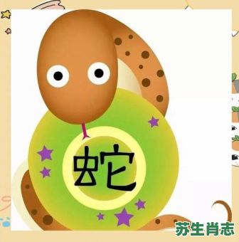 智者是什么生肖？智者打一数字