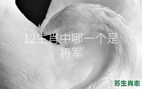 将军生肖是什么？将军形容什么生肖