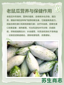 瓜是什么生肖？12生肖谁代表瓜