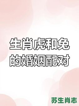 2013是什么生肖?2011年是虎年还是兔年 2013是什么生肖?2011年是虎年还是兔年