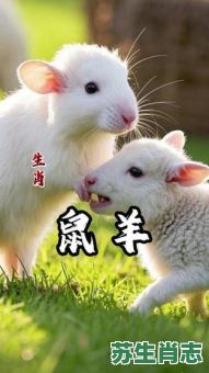 相逢是什么生肖？相逢打什么一个动物