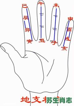 双手是什么生肖？手是哪个生肖