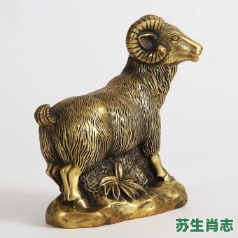 舟是什么生肖？舟最正确一肖