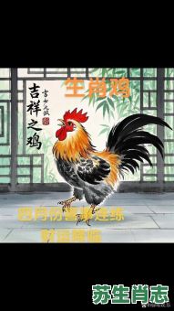 争鸡失羊是什么生肖？争鸡失羊打一准确的生肖