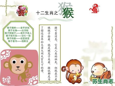 空忙生肖是什么？空忙正确答案一肖