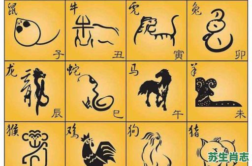 观是什么生肖？观代表哪三大生肖